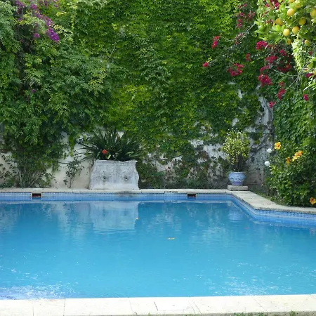 Palacio Del Virrey Laserna Проживання в сім'ї Херес-де-ла-Фронтера