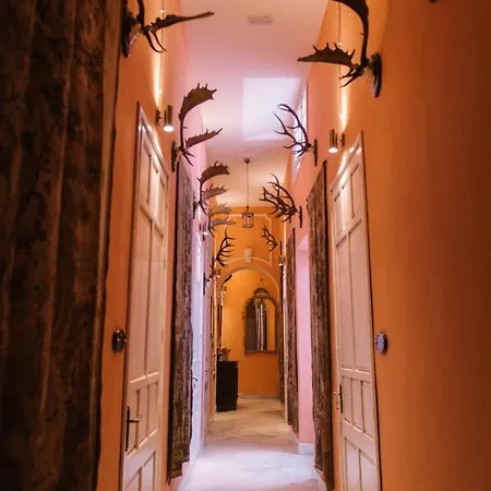 Palacio Del Virrey Laserna * Χέρεζ