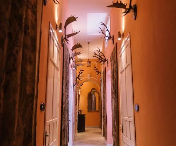 Palacio Del Virrey Laserna * Jerez de la Frontera