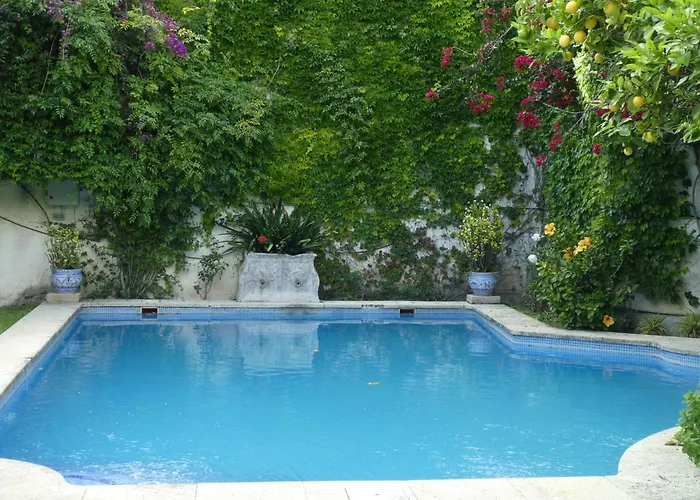 Palacio Del Virrey Laserna Homestay Jerez de la Frontera